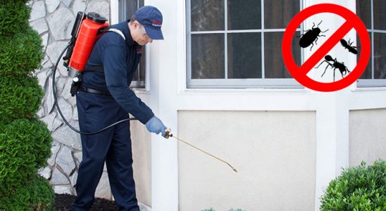 Çavdarhisar Hamam Böceği İlaçlama böcek ilaçlama ve haşere kontrolü — ilaclama-tr.com